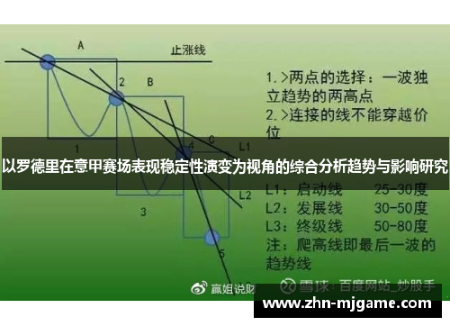 以罗德里在意甲赛场表现稳定性演变为视角的综合分析趋势与影响研究 以罗德里在意甲赛场表现稳定性演变为视角的综合分析趋势与影响研究