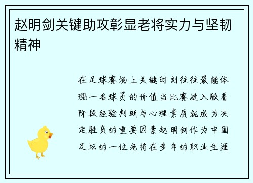 赵明剑关键助攻彰显老将实力与坚韧精神