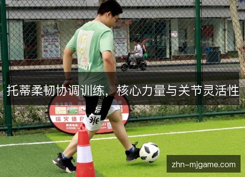 托蒂柔韧协调训练,核心力量与关节灵活性 托蒂柔韧协调训练,核心力量与关节灵活性