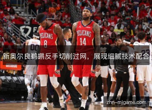 新奥尔良鹈鹕反手切削过网，展现细腻技术配合